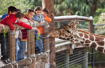 Aquariums & Zoos